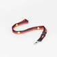 "Raise The Flag" Aboriginal Flag Premium Lanyard