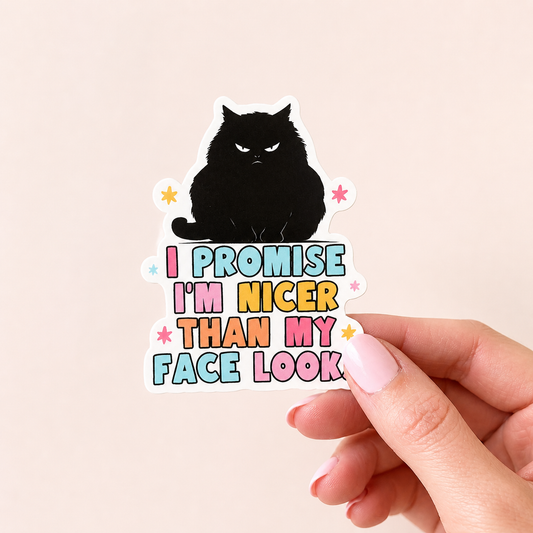 I promise I am nicer than my face looks Vinyl Sticker | 7cm Bookish Decal | Matte & Holographic Stars Finish